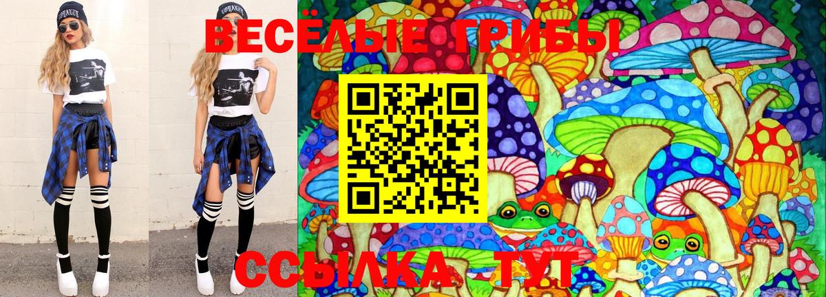 Псилоцибиновые грибы Psilocybine cubensis  Вход с VPN  Новоалтайск 